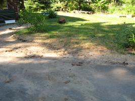 yard work 2010